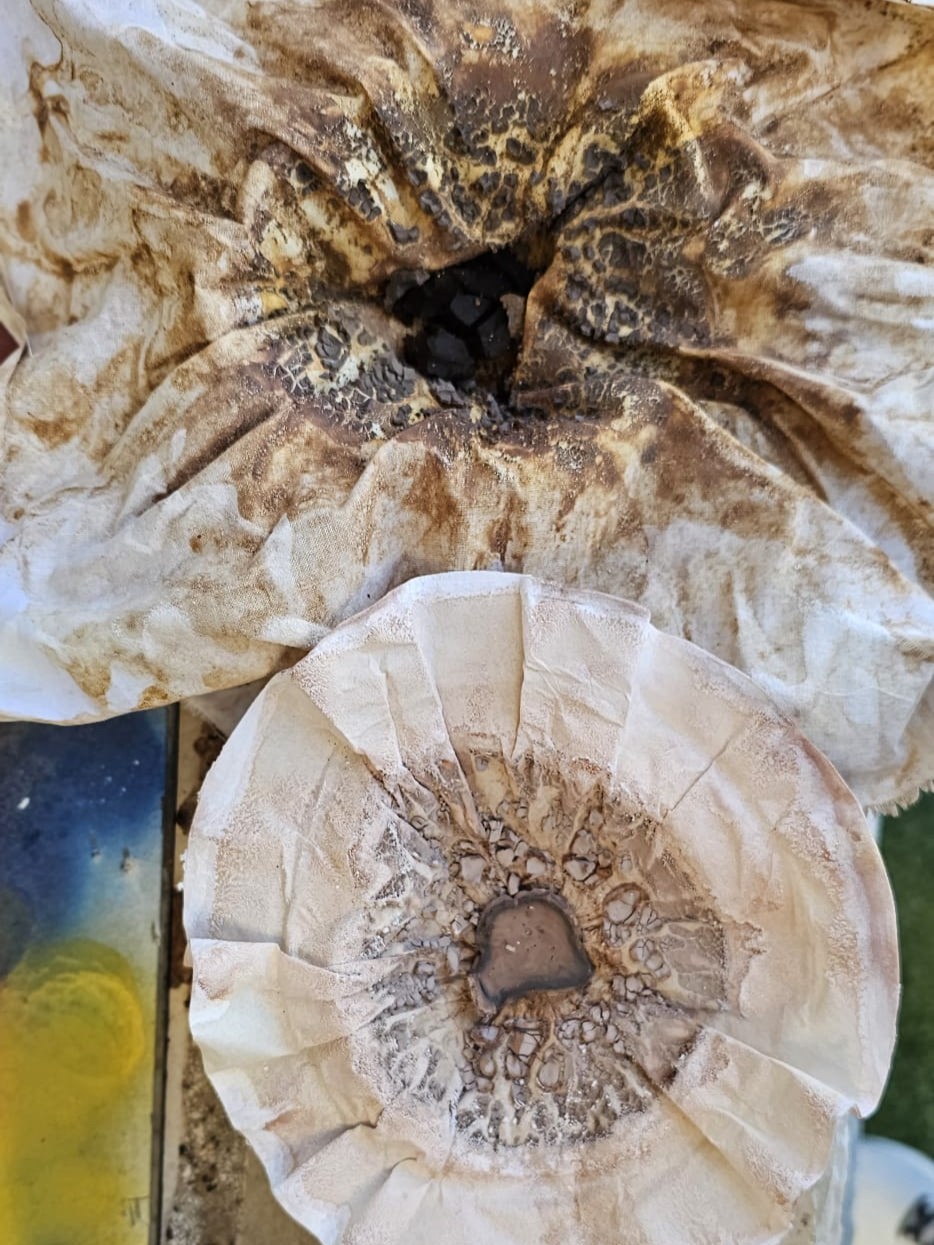 Pigments Dried