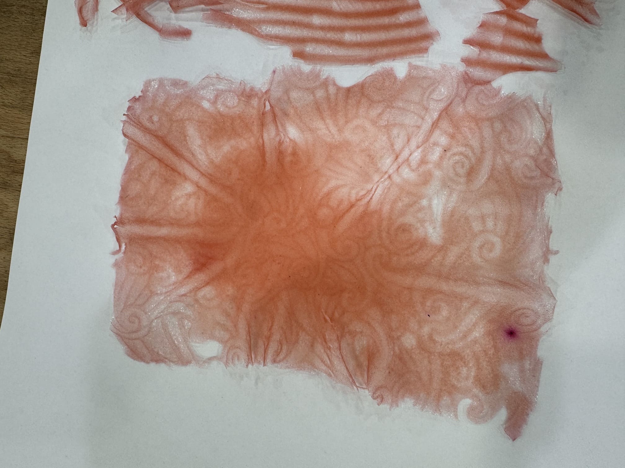 Agar Agar Biofoil Sample 1