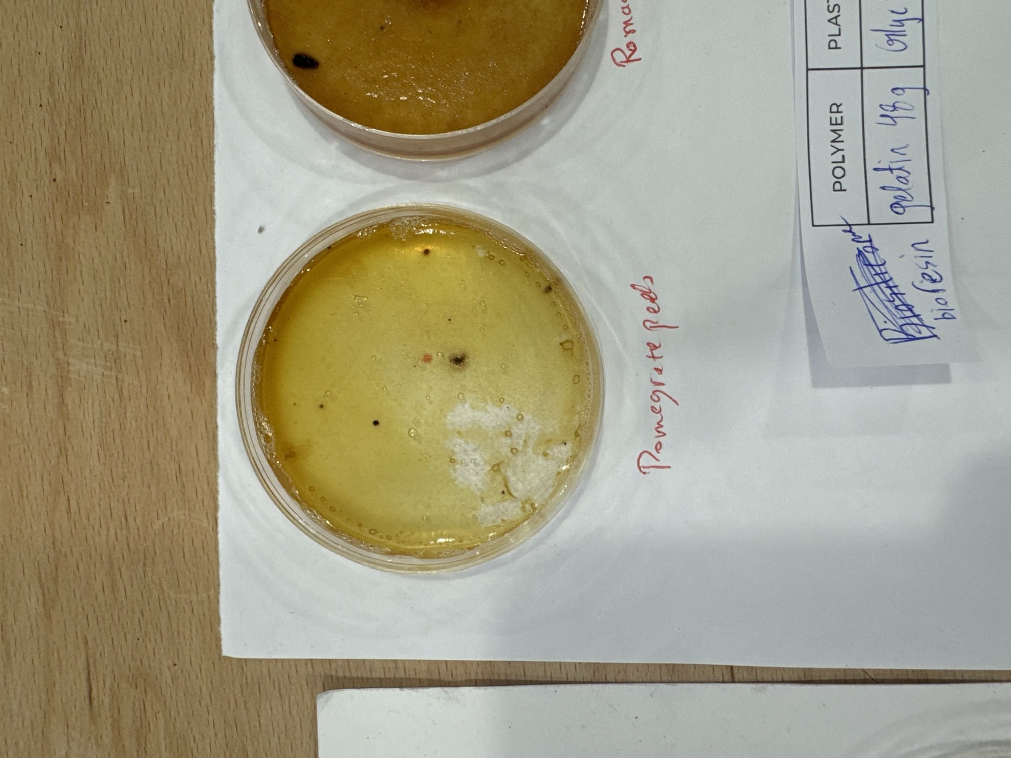Gelatine Bioresin Pomegranate Peels 1