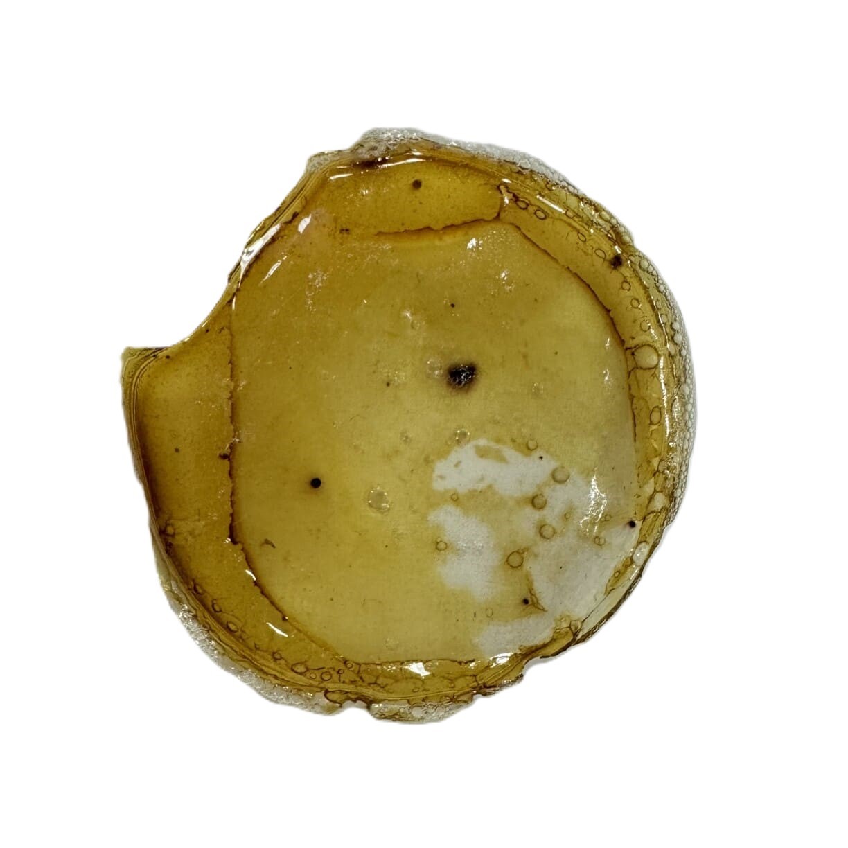 Gelatine Bioresin Sample 1