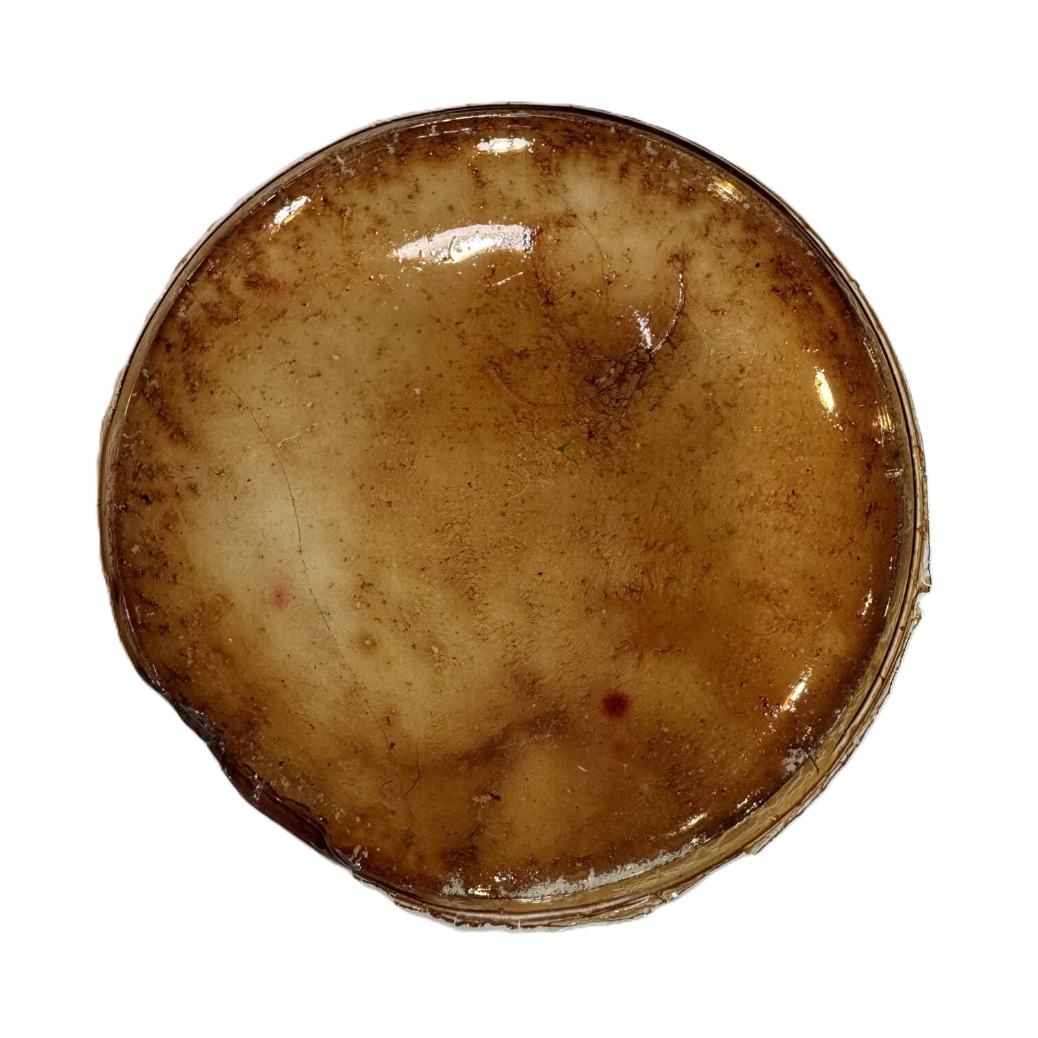 Gelatine Bioresin Sample 5