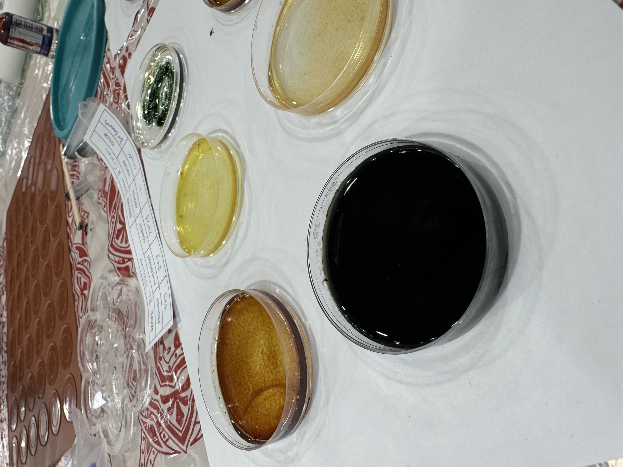 Gelatine Biosilicone 3