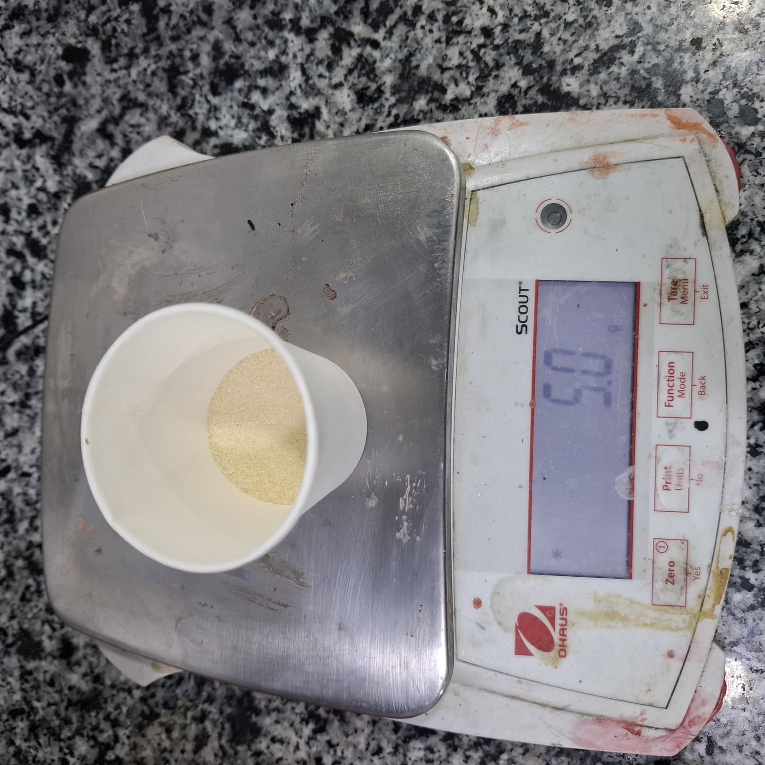 Gelatin Powder