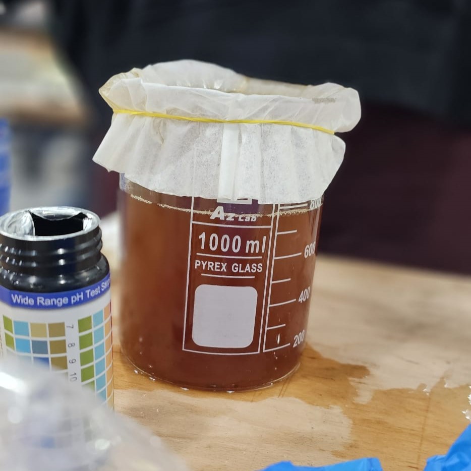 Kombucha Sample 2