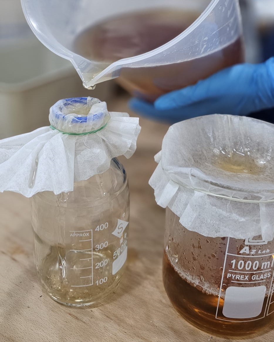 Kombucha Filter