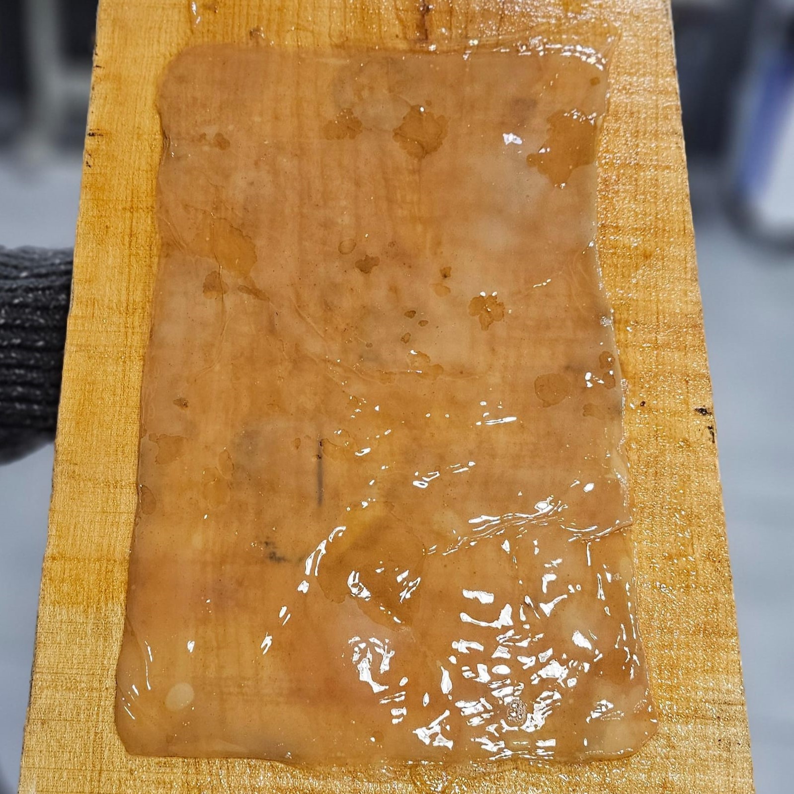 Kombucha Final