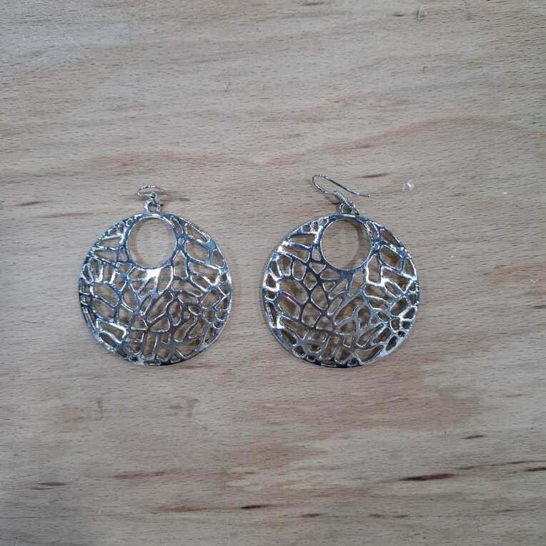 Earrings 1