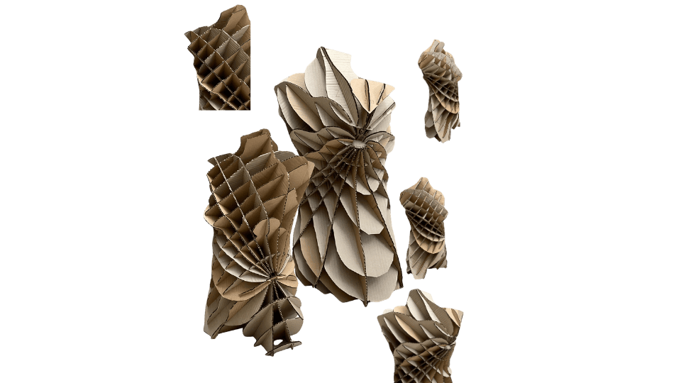 describe what you see in this image