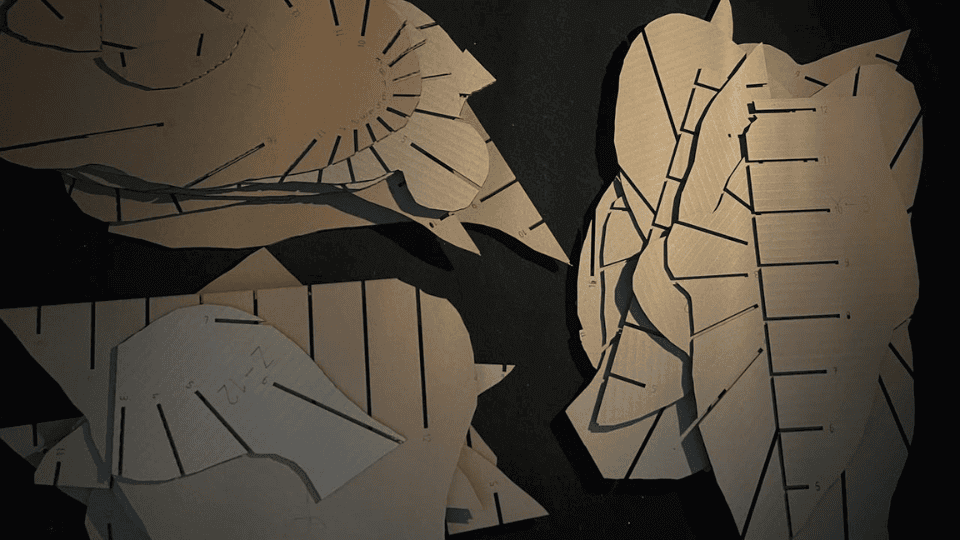 describe what you see in this image