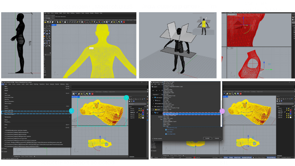 describe what you see in this image