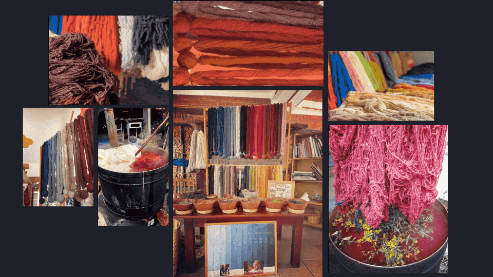 describe what you see in this image