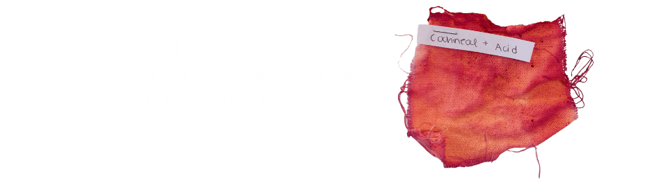 describe what you see in this image