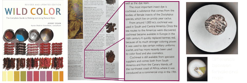 describe what you see in this image