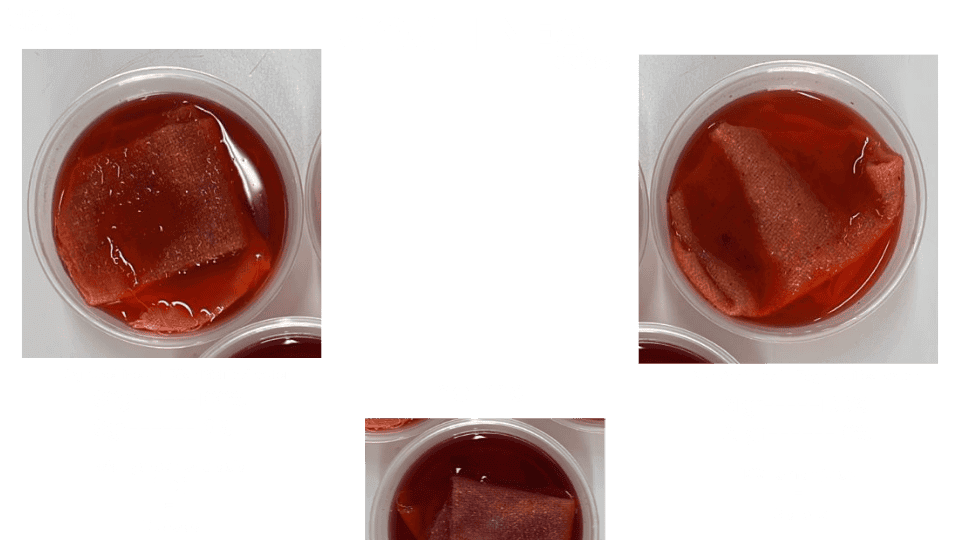 describe what you see in this image