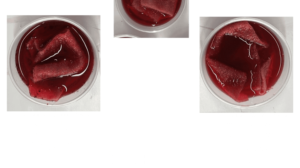 describe what you see in this image