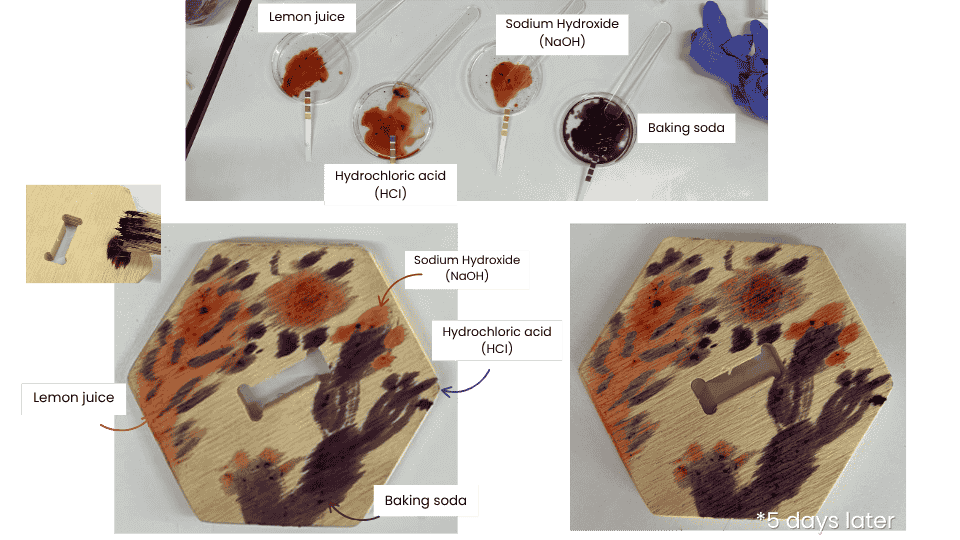 describe what you see in this image