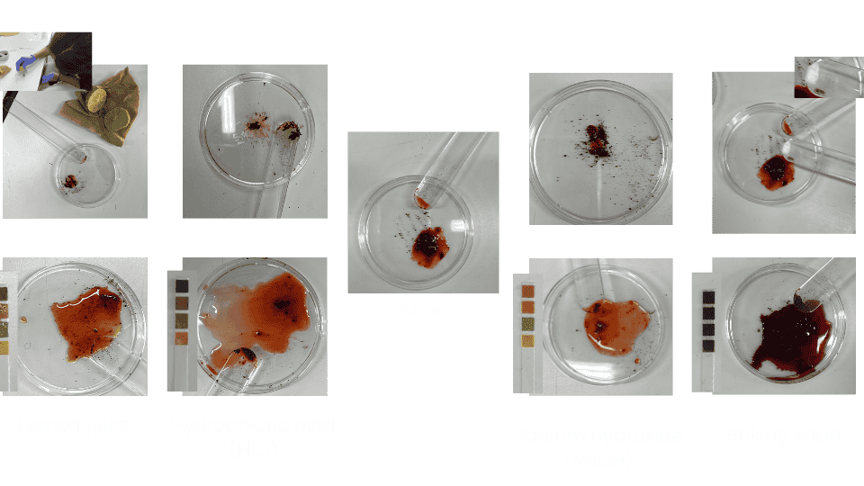 describe what you see in this image