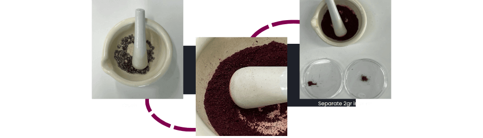 describe what you see in this image