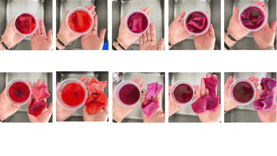 describe what you see in this image