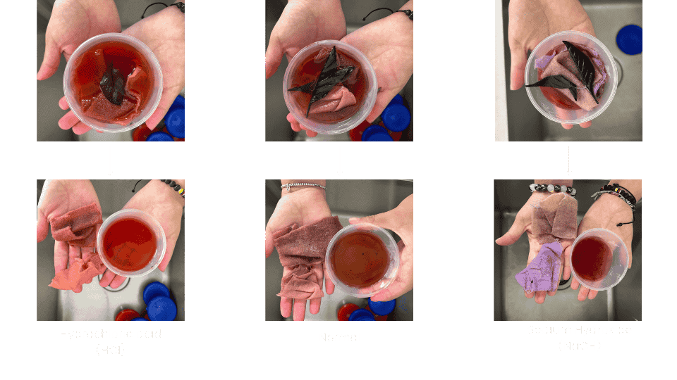 describe what you see in this image