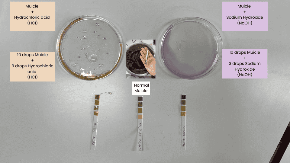 describe what you see in this image