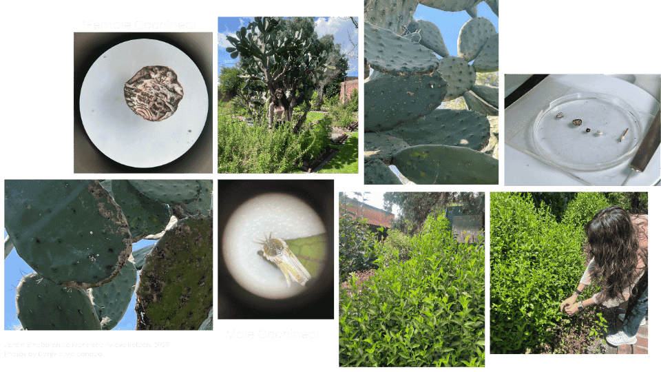 describe what you see in this image