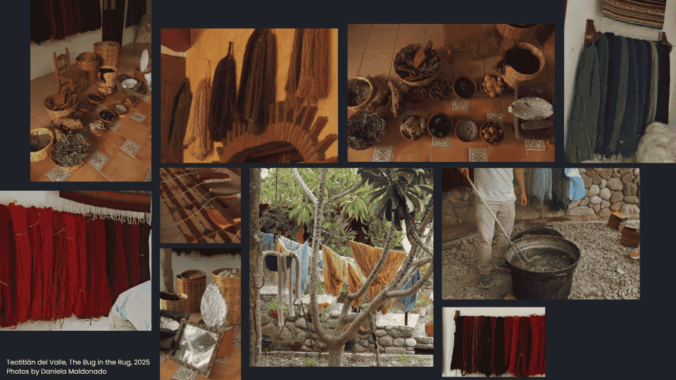 describe what you see in this image