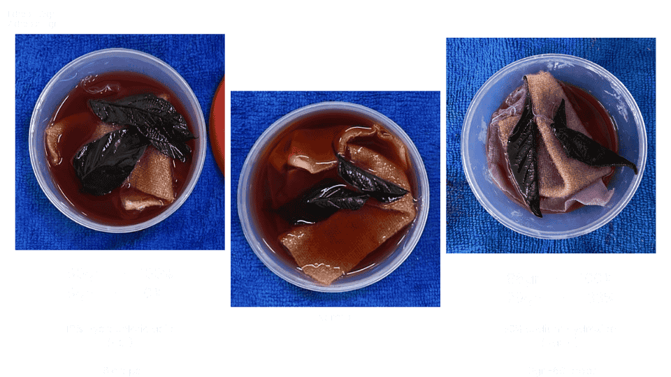 describe what you see in this image