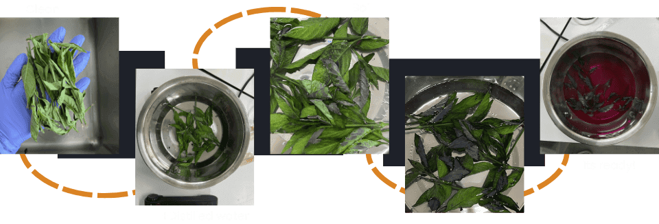 describe what you see in this image