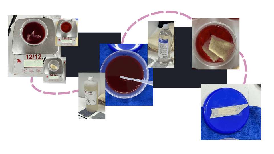 describe what you see in this image