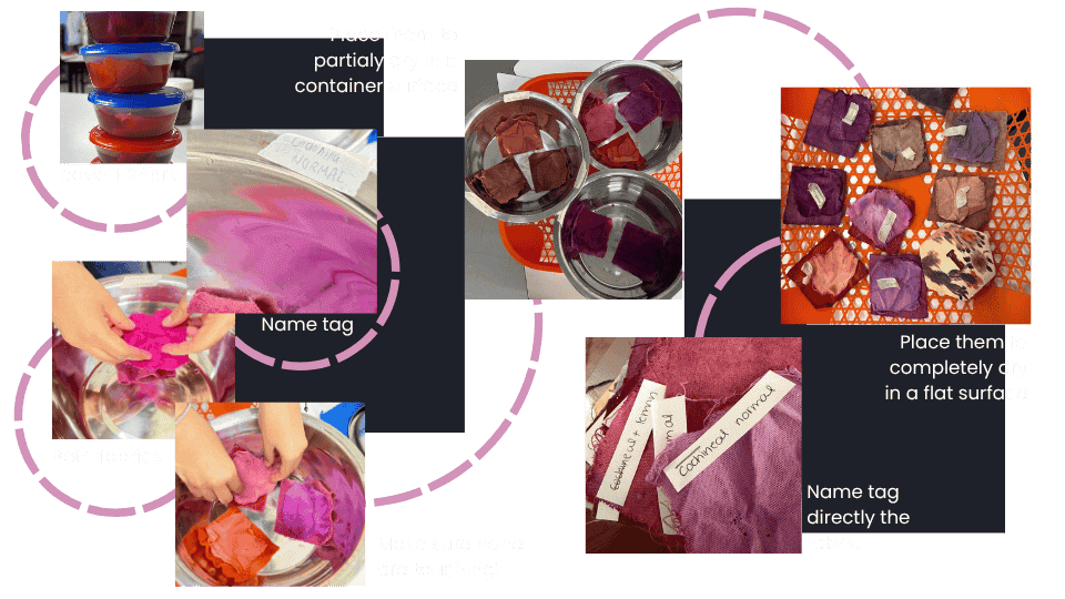 describe what you see in this image