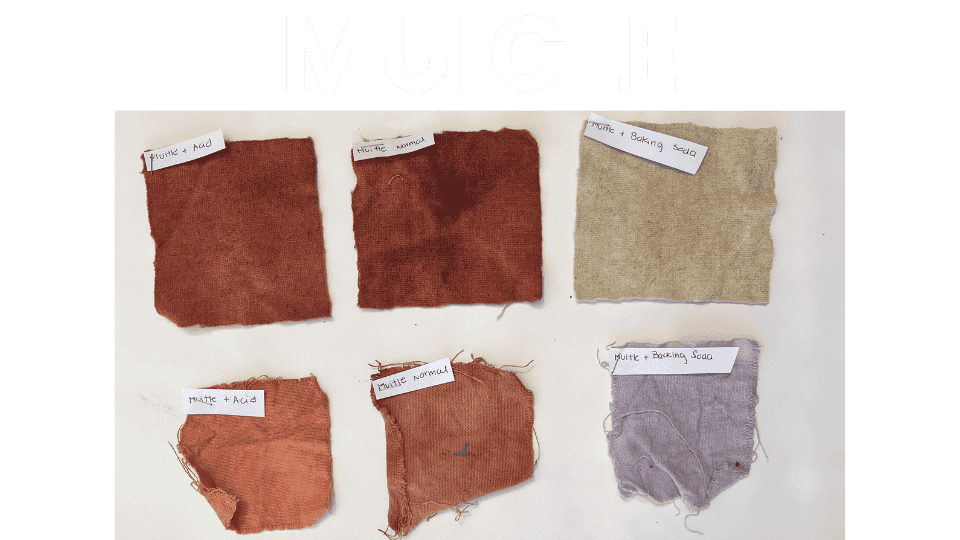 describe what you see in this image