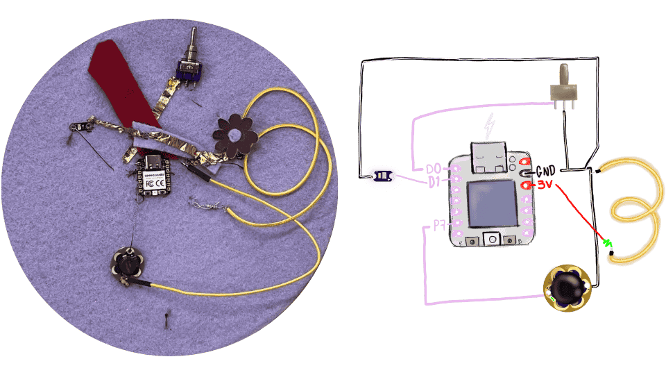 describe what you see in this image