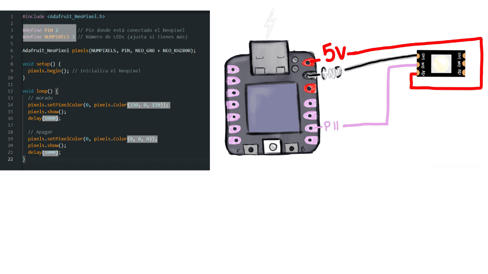 describe what you see in this image