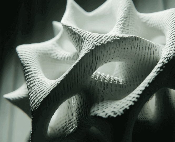 describe what you see in this image