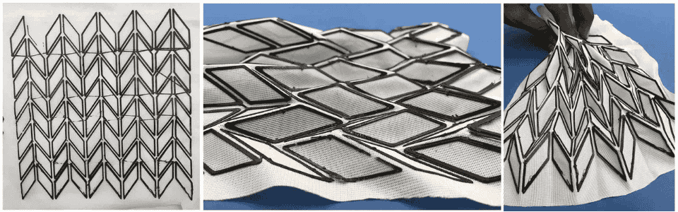 describe what you see in this image