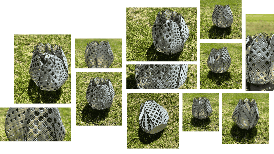 describe what you see in this image