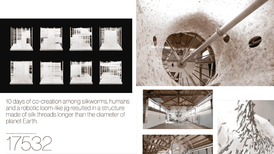 describe what you see in this image