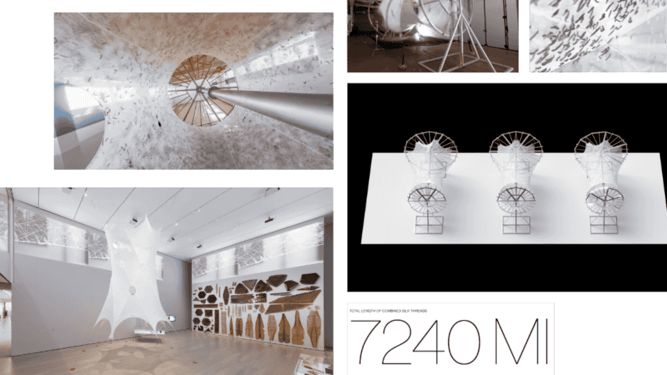 describe what you see in this image