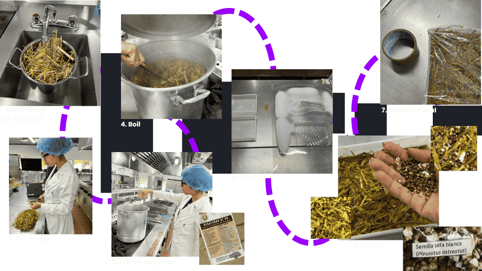 describe what you see in this image