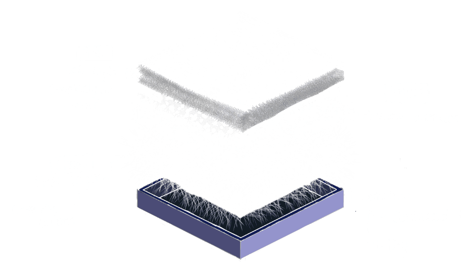 describe what you see in this image