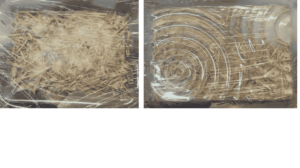 describe what you see in this image