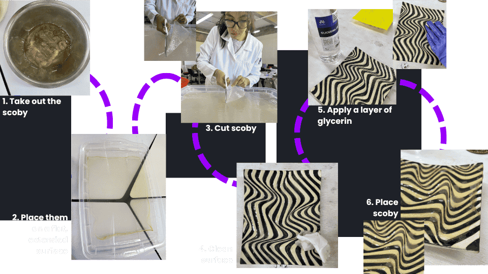 describe what you see in this image