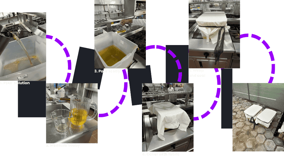 describe what you see in this image