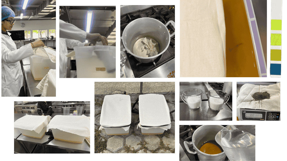 describe what you see in this image