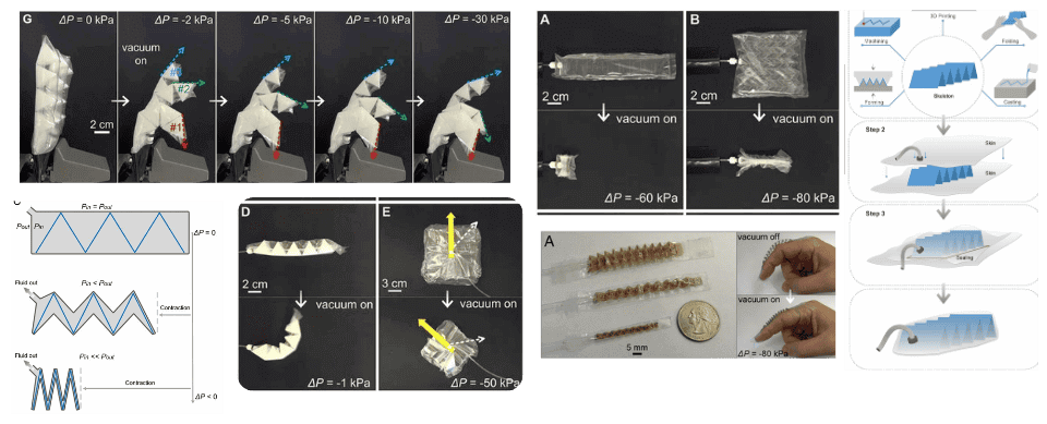 describe what you see in this image