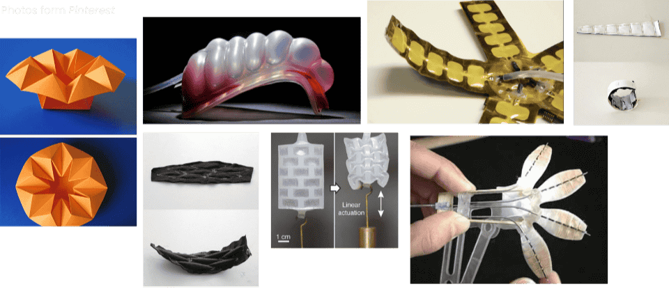 describe what you see in this image