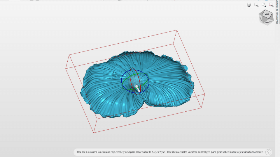 describe what you see in this image