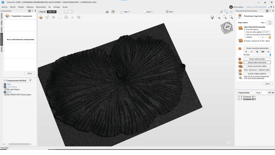 describe what you see in this image