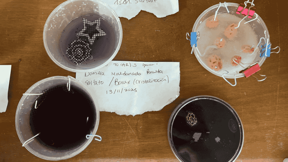 describe what you see in this image